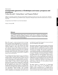 Comparative Genomics of Arabidopsis and Maize: Prospects and Comment Limitations Volker Brendel*, Stefan Kurtz† and Virginia Walbot‡