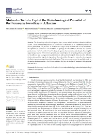 Molecular Tools to Exploit the Biotechnological Potential of Brettanomyces Bruxellensis: a Review