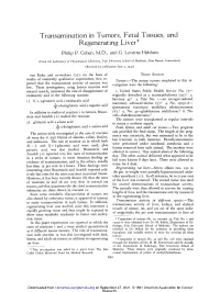 Transamination in Tumors, Fetal Tissues, and Regenerating Liver* Philip P