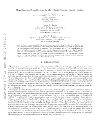 Magnification Cross Sections for the Elliptic Umbilic Caustic Surface