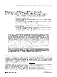 Integration of Wings and Their Eyespots in the Speckled Wood Butterfly Pararge Aegeria