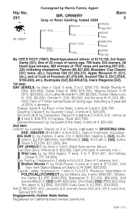 MR. ORNERY Barn 3 Hip No