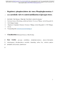 Regulatory Phosphorylation Site Tunes Phosphoglucomutase 1 As A