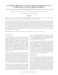 Successful Breeding of Caspian Terns Hydroprogne Caspia in the Arctic—Part of the New Normal?