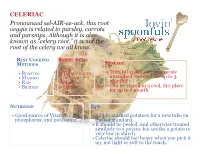 CELERIAC Pronounced Sel-AIR-Ee-Ack, This Root Veggie Is Related to Parsley, Carrots and Parsnips