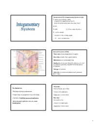 Components of the Integumentary System Include 1