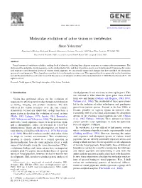 Molecular Evolution of Color Vision in Vertebrates