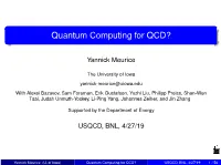 Quantum Computing for QCD?