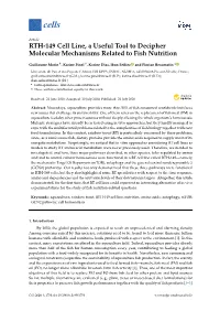 RTH-149 Cell Line, a Useful Tool to Decipher Molecular Mechanisms Related to Fish Nutrition