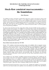 Stock-Flow Consistent Macroeconomics – the Foundations