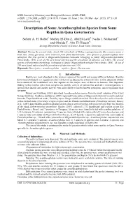 Description of Some Acanthocephalan Species from Some Reptiles in Qena Governorate