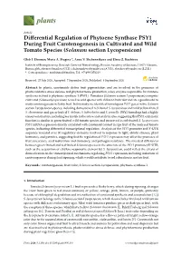 Differential Regulation of Phytoene Synthase PSY1 During Fruit