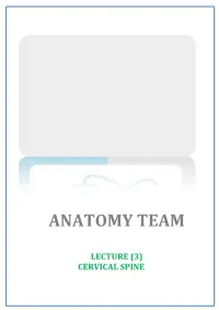 Lecture (3) Cervical Spine