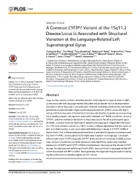 A Common CYFIP1 Variant at the 15Q11.2 Disease Locus Is Associated with Structural Variation at the Language-Related Left Supramarginal Gyrus