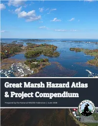 Great Marsh Hazard Atlas & Project Compendium