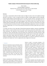 Kinetic Analysis of Thermochemical Processes for Dried Cattle Dung