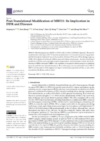 Post-Translational Modification of MRE11: Its Implication in DDR And