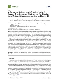 An Improved Syringe Agroinfiltration Protocol to Enhance Transformation Efficiency by Combinative Use of 5-Azacytidine, Ascorbat