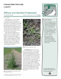 Diffuse and Spotted Knapweed Fact Sheet No