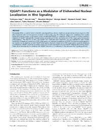 IQGAP1 Functions As a Modulator of Dishevelled Nuclear Localization in Wnt Signaling