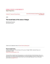 The Neural Basis of the Sense of Fatigue