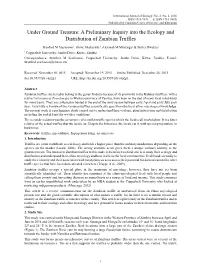 A Preliminary Inquiry Into the Ecology and Distribution of Zambian Truffles