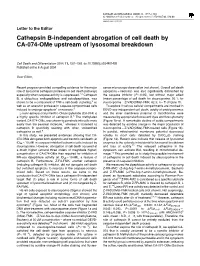 Cathepsin B-Independent Abrogation of Cell Death by CA-074-Ome Upstream of Lysosomal Breakdown
