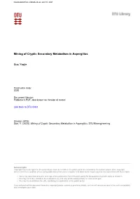 Mining of Cryptic Secondary Metabolism in Aspergillus