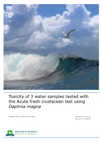Toxicity of 3 Water Samples Tested with the Acute Fresh Crustacean Test Using Daphnia Magna