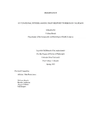Dissertation Occupational Injuries Among Craft