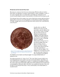 Divination in the Ancient Near East Humans Are Creatures That Thrive on Information