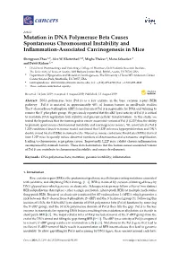 Mutation in DNA Polymerase Beta Causes Spontaneous Chromosomal Instability and Inﬂammation-Associated Carcinogenesis in Mice