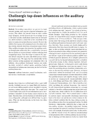 Cholinergic Top-Down Influences on the Auditory Brainstem