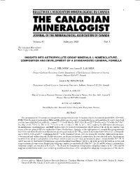 Insights Into Astrophyllite-Group Minerals