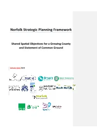 LP-SUB10 Norfolk Strategic Planning Framework