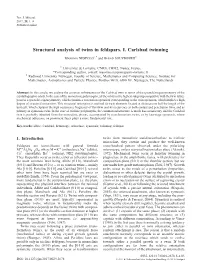Structural Analysis of Twins in Feldspars. I. Carlsbad Twinning