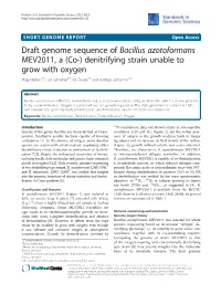 Draft Genome Sequence of Bacillus Azotoformans MEV2011, a (Co