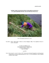 Amnwr 2019/05 Testing a New Tufted Puffin Population
