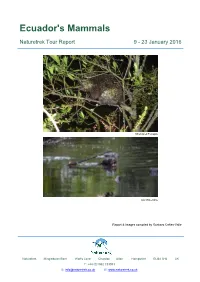 Ecuador's Mammals