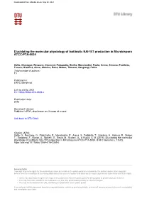 Elucidating the Molecular Physiology of Lantibiotic NAI-107 Production in Microbispora ATCC-PTA-5024