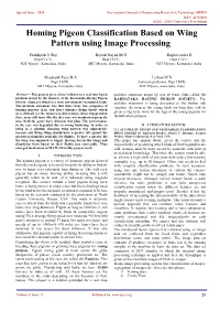 Homing Pigeon Classification Based on Wing Pattern Using Image Processing