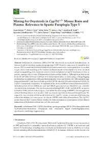 Mining for Oxysterols in Cyp7b1-/- Mouse Brain and Plasma