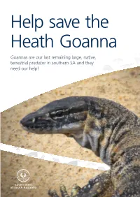 Help Save the Heath Goanna Report Sightings • Report Any Sightings of Alive Or Dead Goannas to We Need to Know Where Goannas Are in Order to Help Them