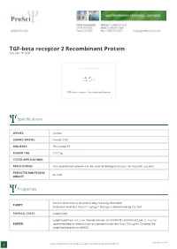 TGF-Beta Receptor 2 Recombinant Protein Cat