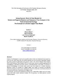 Using Dynamic Stock & Flow Models for Global and Regional Material and Substance Flow Analysis in the Field of Industrial E