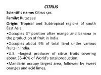 CITRUS Scientific Name: Citrus Sps