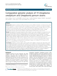 Comparative Genome Analysis of 19 Ureaplasma Urealyticum and Ureaplasma Parvum Strains
