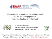 Estimation of Inbreeding and Effective Population Size in Istrian Cattle