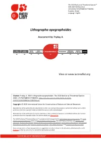 Lithographa Opegraphoides