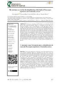 The Anatomy As a Tool for the Identification of the Bark of Pterocarpus Angolensis and Terminalia Sericea1 a Anatomia Como Ferra